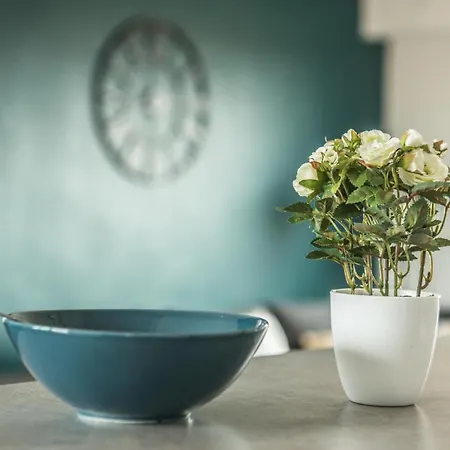 Lumineux - L'envol - Terrasse アパート ストラスブール