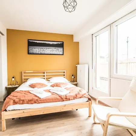 Lumineux - L'envol - Terrasse アパート ストラスブール